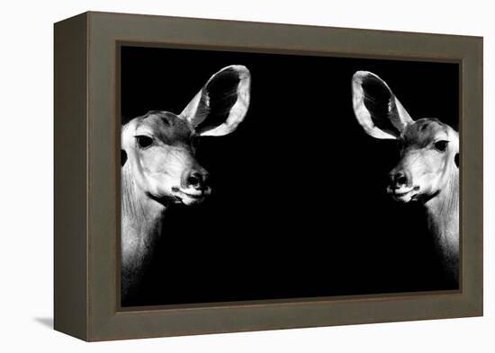 Safari Profile Collection - Antelopes Impalas Face to Face Black Edition II-Philippe Hugonnard-Framed Premier Image Canvas