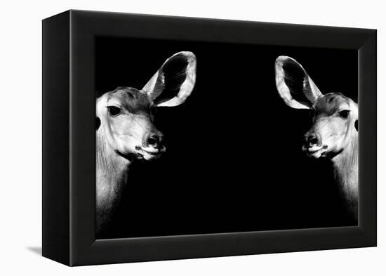 Safari Profile Collection - Antelopes Impalas Face to Face Black Edition II-Philippe Hugonnard-Framed Premier Image Canvas