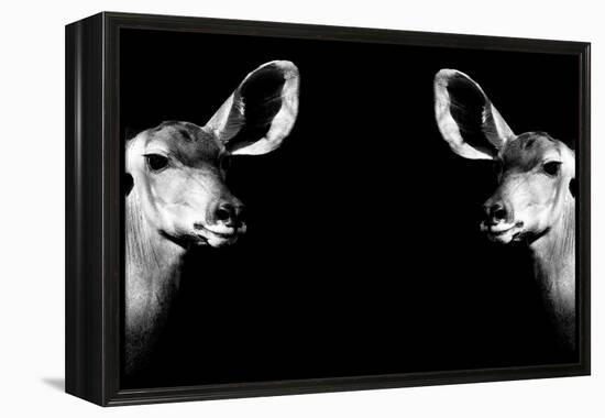 Safari Profile Collection - Antelopes Impalas Face to Face Black Edition II-Philippe Hugonnard-Framed Premier Image Canvas