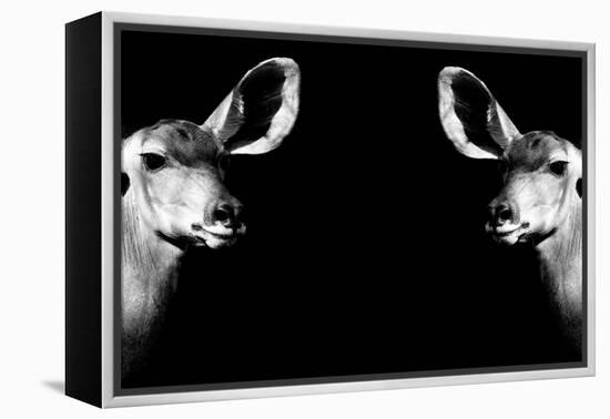 Safari Profile Collection - Antelopes Impalas Face to Face Black Edition II-Philippe Hugonnard-Framed Premier Image Canvas