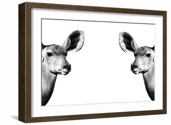 Safari Profile Collection - Antelopes Impalas Face to Face White Edition II-Philippe Hugonnard-Framed Photographic Print