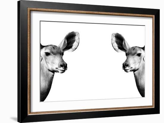 Safari Profile Collection - Antelopes Impalas Face to Face White Edition II-Philippe Hugonnard-Framed Photographic Print