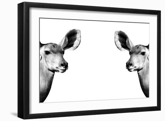 Safari Profile Collection - Antelopes Impalas Face to Face White Edition II-Philippe Hugonnard-Framed Photographic Print