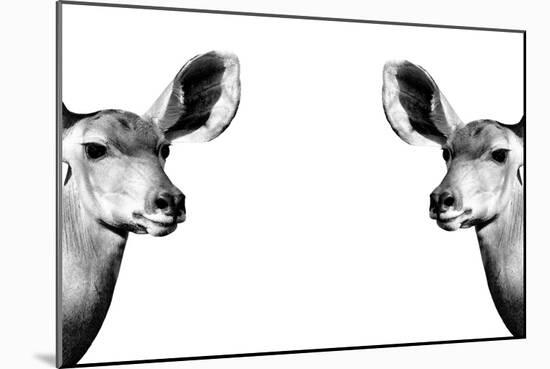 Safari Profile Collection - Antelopes Impalas Face to Face White Edition II-Philippe Hugonnard-Mounted Photographic Print