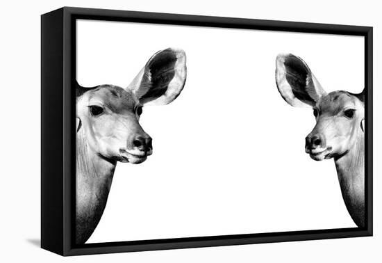 Safari Profile Collection - Antelopes Impalas Face to Face White Edition II-Philippe Hugonnard-Framed Premier Image Canvas