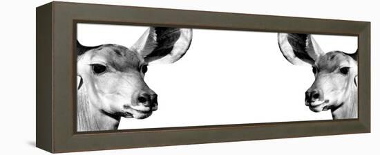 Safari Profile Collection - Antelopes Impalas Face to Face White Edition IV-Philippe Hugonnard-Framed Premier Image Canvas