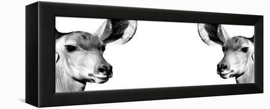 Safari Profile Collection - Antelopes Impalas Face to Face White Edition IV-Philippe Hugonnard-Framed Premier Image Canvas