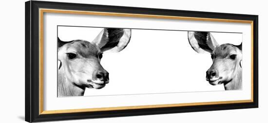 Safari Profile Collection - Antelopes Impalas Face to Face White Edition IV-Philippe Hugonnard-Framed Photographic Print