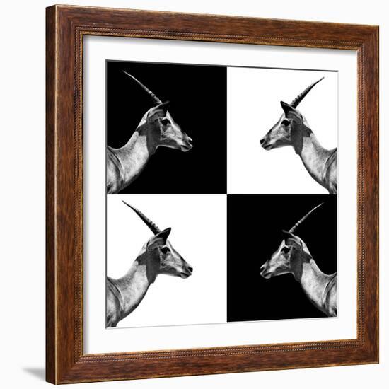 Safari Profile Collection - Antelopes Impalas II-Philippe Hugonnard-Framed Photographic Print