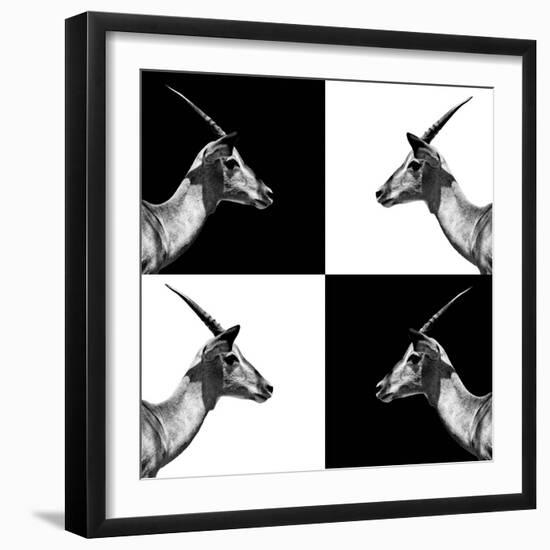 Safari Profile Collection - Antelopes Impalas II-Philippe Hugonnard-Framed Photographic Print