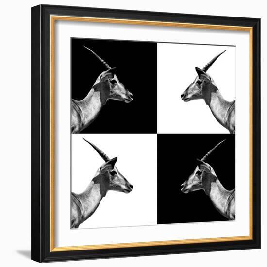 Safari Profile Collection - Antelopes Impalas II-Philippe Hugonnard-Framed Photographic Print