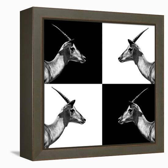 Safari Profile Collection - Antelopes Impalas II-Philippe Hugonnard-Framed Premier Image Canvas