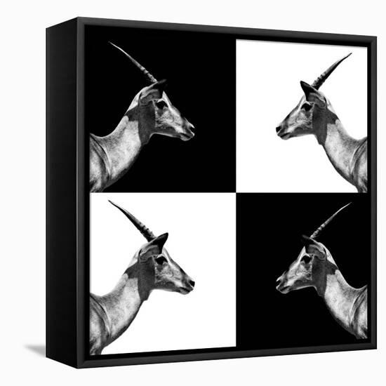 Safari Profile Collection - Antelopes Impalas II-Philippe Hugonnard-Framed Premier Image Canvas