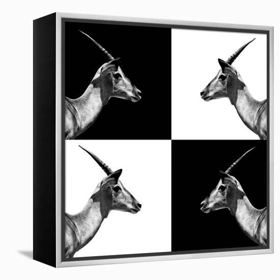 Safari Profile Collection - Antelopes Impalas II-Philippe Hugonnard-Framed Premier Image Canvas
