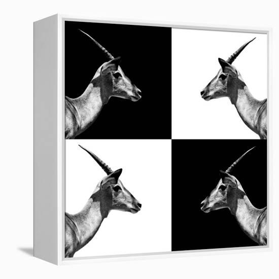 Safari Profile Collection - Antelopes Impalas II-Philippe Hugonnard-Framed Premier Image Canvas