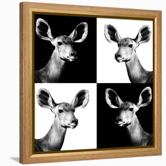 Safari Profile Collection - Antelopes Impalas Portraits II-Philippe Hugonnard-Framed Premier Image Canvas