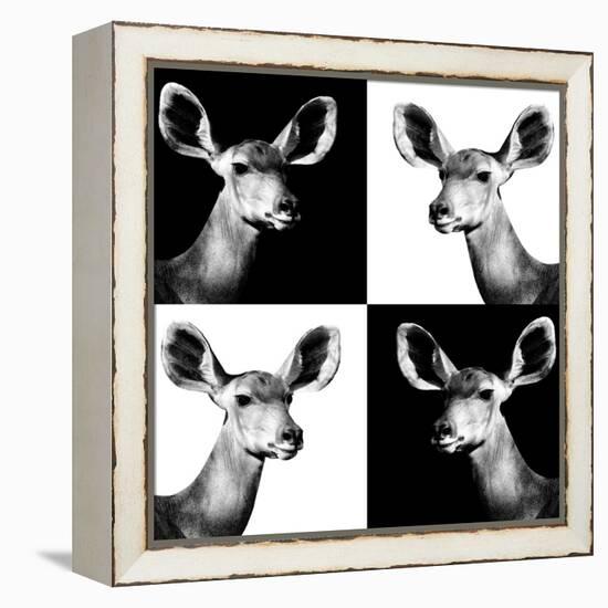 Safari Profile Collection - Antelopes Impalas Portraits II-Philippe Hugonnard-Framed Premier Image Canvas