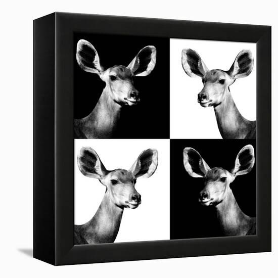 Safari Profile Collection - Antelopes Impalas Portraits II-Philippe Hugonnard-Framed Premier Image Canvas