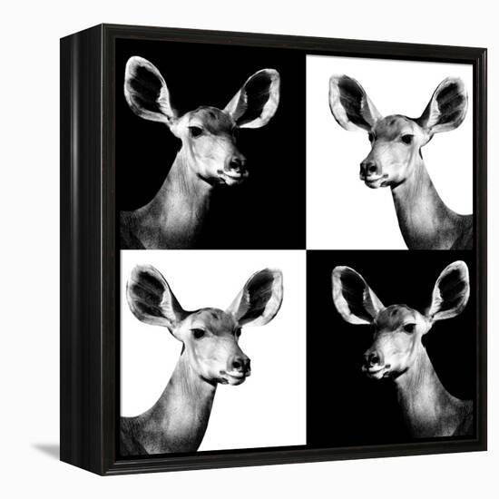 Safari Profile Collection - Antelopes Impalas Portraits II-Philippe Hugonnard-Framed Premier Image Canvas