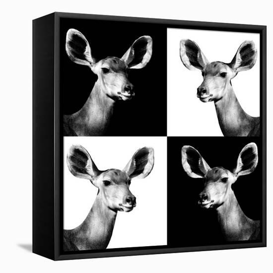 Safari Profile Collection - Antelopes Impalas Portraits II-Philippe Hugonnard-Framed Premier Image Canvas