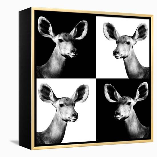 Safari Profile Collection - Antelopes Impalas Portraits II-Philippe Hugonnard-Framed Premier Image Canvas