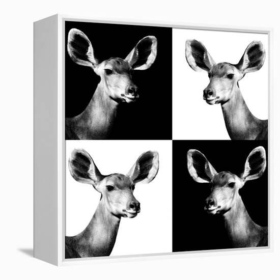 Safari Profile Collection - Antelopes Impalas Portraits II-Philippe Hugonnard-Framed Premier Image Canvas