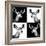 Safari Profile Collection - Antelopes Impalas Portraits II-Philippe Hugonnard-Framed Photographic Print