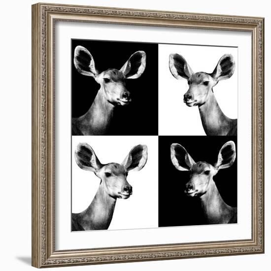 Safari Profile Collection - Antelopes Impalas Portraits II-Philippe Hugonnard-Framed Photographic Print