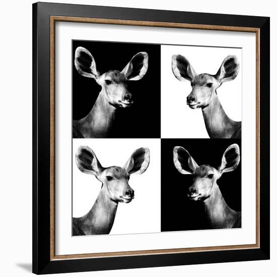 Safari Profile Collection - Antelopes Impalas Portraits II-Philippe Hugonnard-Framed Photographic Print