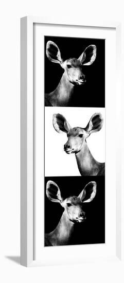 Safari Profile Collection - Antelopes Impalas Portraits III-Philippe Hugonnard-Framed Photographic Print