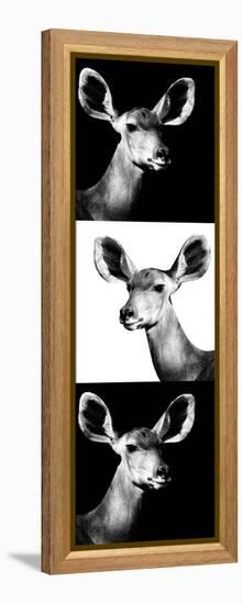 Safari Profile Collection - Antelopes Impalas Portraits III-Philippe Hugonnard-Framed Premier Image Canvas