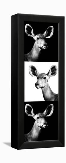 Safari Profile Collection - Antelopes Impalas Portraits III-Philippe Hugonnard-Framed Premier Image Canvas