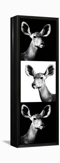 Safari Profile Collection - Antelopes Impalas Portraits III-Philippe Hugonnard-Framed Premier Image Canvas