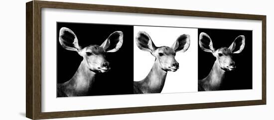 Safari Profile Collection - Antelopes Impalas Portraits IV-Philippe Hugonnard-Framed Photographic Print