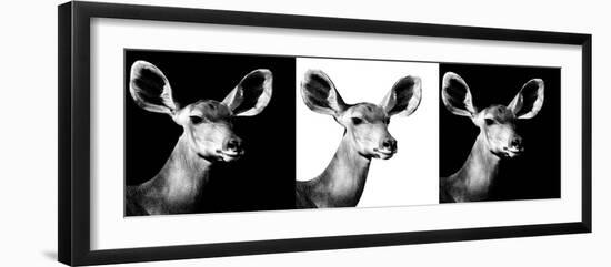 Safari Profile Collection - Antelopes Impalas Portraits IV-Philippe Hugonnard-Framed Photographic Print