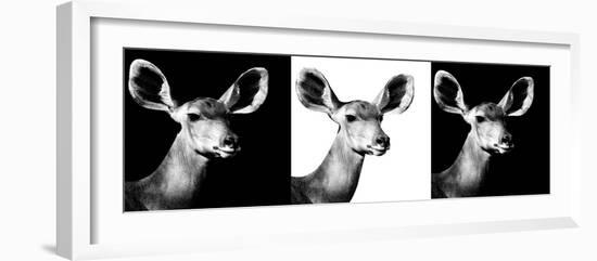 Safari Profile Collection - Antelopes Impalas Portraits IV-Philippe Hugonnard-Framed Photographic Print