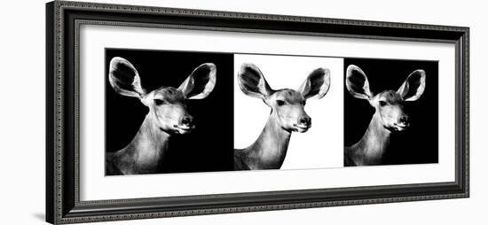 Safari Profile Collection - Antelopes Impalas Portraits IV-Philippe Hugonnard-Framed Photographic Print