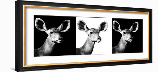 Safari Profile Collection - Antelopes Impalas Portraits IV-Philippe Hugonnard-Framed Photographic Print