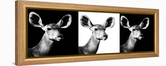 Safari Profile Collection - Antelopes Impalas Portraits IV-Philippe Hugonnard-Framed Premier Image Canvas