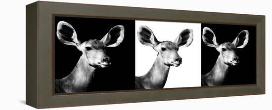 Safari Profile Collection - Antelopes Impalas Portraits IV-Philippe Hugonnard-Framed Premier Image Canvas