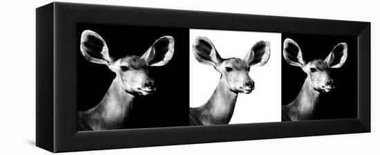 Safari Profile Collection - Antelopes Impalas Portraits IV-Philippe Hugonnard-Framed Premier Image Canvas