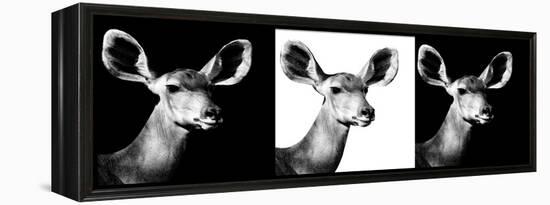 Safari Profile Collection - Antelopes Impalas Portraits IV-Philippe Hugonnard-Framed Premier Image Canvas