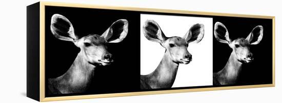 Safari Profile Collection - Antelopes Impalas Portraits IV-Philippe Hugonnard-Framed Premier Image Canvas