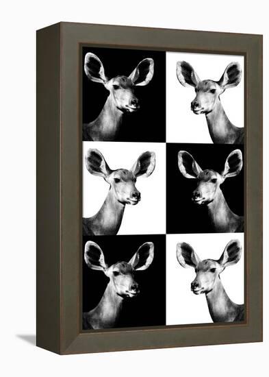 Safari Profile Collection - Antelopes Impalas Portraits-Philippe Hugonnard-Framed Premier Image Canvas