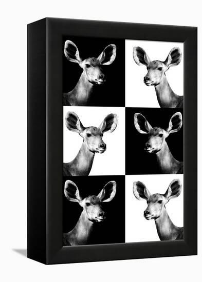 Safari Profile Collection - Antelopes Impalas Portraits-Philippe Hugonnard-Framed Premier Image Canvas