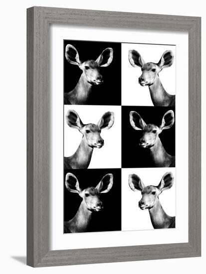 Safari Profile Collection - Antelopes Impalas Portraits-Philippe Hugonnard-Framed Photographic Print