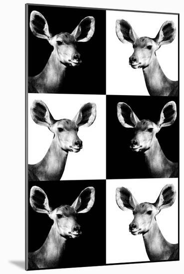 Safari Profile Collection - Antelopes Impalas Portraits-Philippe Hugonnard-Mounted Photographic Print