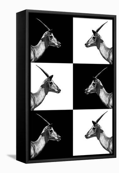 Safari Profile Collection - Antelopes Impalas-Philippe Hugonnard-Framed Premier Image Canvas