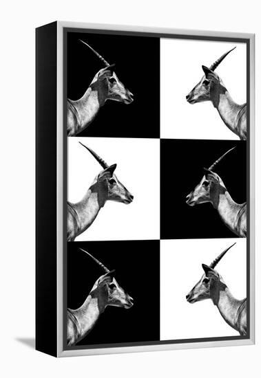 Safari Profile Collection - Antelopes Impalas-Philippe Hugonnard-Framed Premier Image Canvas