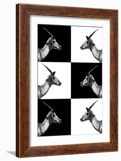 Safari Profile Collection - Antelopes Impalas-Philippe Hugonnard-Framed Photographic Print